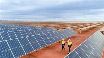 Doanh nghiệp Australia và Việt Nam trao đổi cơ hội hợp tác về năng lượng tái tạo