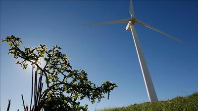 Đắk Nông chấp thuận chủ trương đầu tư 3 dự án điện gió