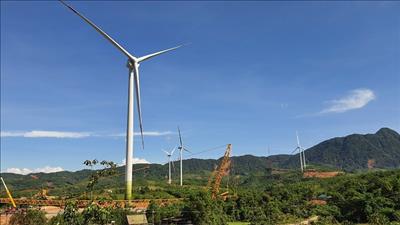 Quảng Trị dừng cấp chủ trương đầu tư dự án điện gió mới để rà soát quy hoạch