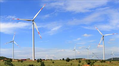 Kiến nghị gia hạn áp dụng cơ chế giá FIT đối với các dự án điện gió