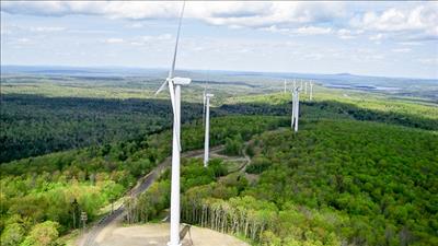 Các dự án điện gió tại Sóc Trăng phấn đấu đảm bảo tiến độ