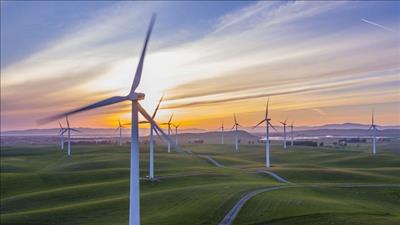 BCG Energy và Siemens Gamesa ký kết hợp tác phát triển điện gió tại COP26