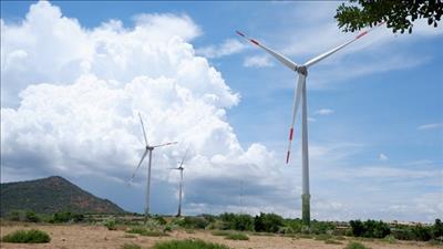 Phú Yên chấp thuận chủ trương đầu tư trang trại điện gió gần 5.000 tỷ đồng