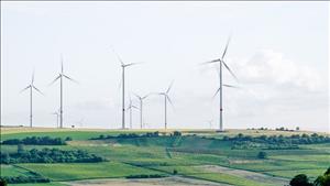Thúc đẩy hợp tác Việt Nam – Đan Mạch về điện gió và hiệu quả năng lượng