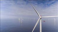 EVN và đối tác Đan Mạch chia sẻ kinh nghiệm phát triển điện gió ngoài khơi