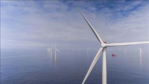 EVN và đối tác Đan Mạch chia sẻ kinh nghiệm phát triển điện gió ngoài khơi