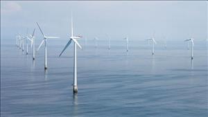 Các tập đoàn lớn châu Âu sẵn sàng đầu tư vào ngành điện gió tại Việt Nam