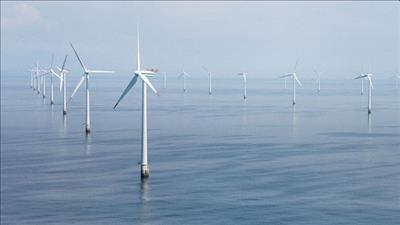 Các tập đoàn lớn châu Âu sẵn sàng đầu tư vào ngành điện gió tại Việt Nam
