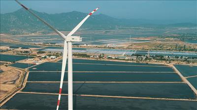 ADB dành 107 triệu USD hỗ trợ vận hành dự án điện gió tại Ninh Thuận