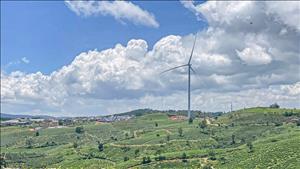 Chấp thuận chủ trương điều chỉnh dự án đầu tư Nhà máy điện gió Cầu Đất
