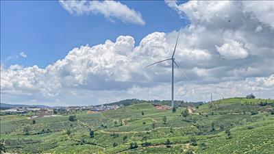 Chấp thuận chủ trương điều chỉnh dự án đầu tư Nhà máy điện gió Cầu Đất