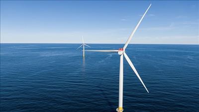Bình Định đề xuất đưa các dự án điện gió vào kế hoạch thực hiện Quy hoạch điện VIII