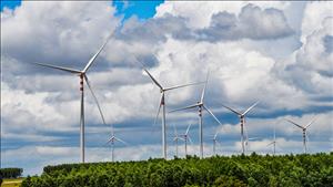 Phê duyệt khung giá phát điện loại hình nhà máy điện gió năm 2025