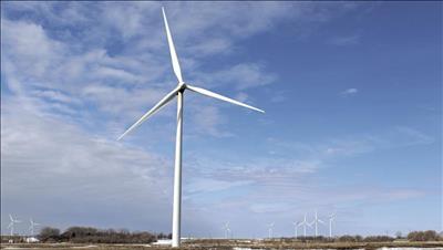 Bạc Liêu: Khởi động dự án Nhà máy điện gió Hòa Bình 5 giai đoạn 1