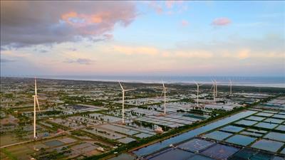 Khánh thành dự án điện gió trên đất liền lớn nhất tại đồng bằng sông Cửu Long