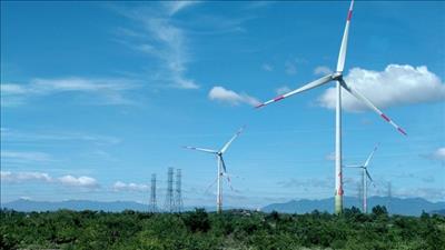 Kon Tum tăng cường công tác quản lý trong lĩnh vực điện gió