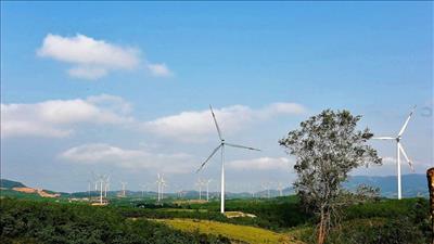 Kon Tum: Chấp thuận chủ trương đầu tư dự án điện gió Kon Plông