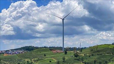 Lâm Đồng muốn bổ sung thêm 4 dự án điện gió