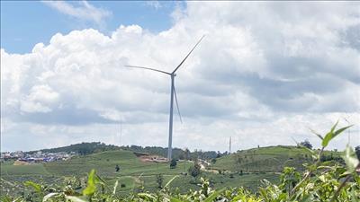 Lâm Đồng chấp thuận chủ trương đầu tư 2 dự án điện gió hơn 4.000 tỷ đồng