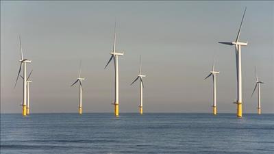Dự thảo Quy hoạch điện VIII: Tăng nguồn điện gió ngoài khơi