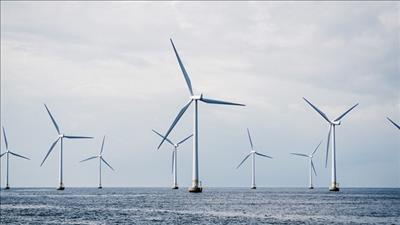 Hỗ trợ về chuỗi cung ứng, đào tạo nguồn nhân lực cho ngành điện gió ngoài khơi