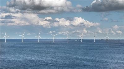 Tập đoàn Đan Mạch mong muốn hợp tác với Petrovietnam về năng lượng tái tạo