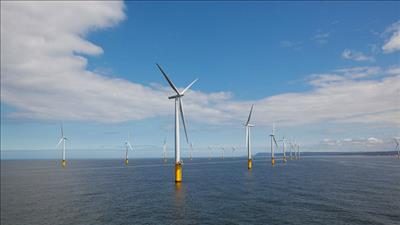 Tiếp tục xúc tiến triển khai dự án điện gió ngoài khơi tại Hải Phòng