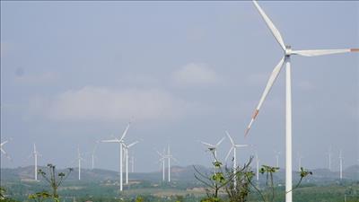 Quảng Trị chuyển đổi đất, rừng để thực hiện dự án điện gió Tân Hợp