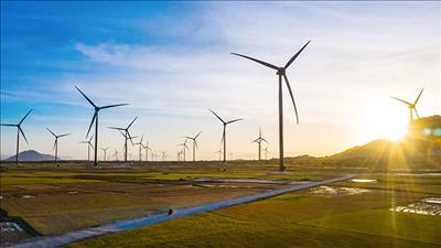 Chuyển nhượng 35,1% cổ phần Nhà máy điện gió Trung Nam