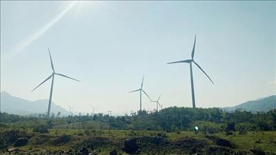 Tổ chức tài chính quốc tế hỗ trợ tín dụng xanh cho ngành điện gió Việt Nam