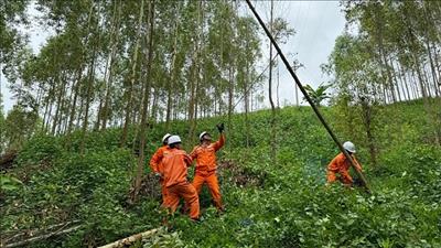 Ngành điện chuẩn bị ứng phó với áp thấp nhiệt đới có khả năng mạnh lên thành bão