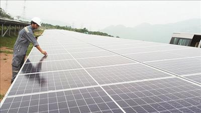 EVN đề xuất 3 phương án đấu thầu dự án điện mặt trời