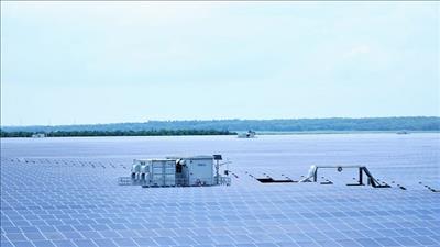 Chia tách dự án điện mặt trời Dầu Tiếng (Tây Ninh) thành hai dự án nhỏ