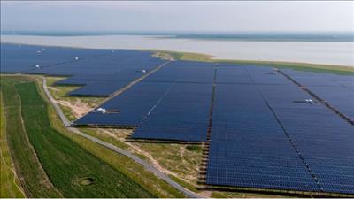 Tây Ninh trao quyết định chủ trương đầu tư 2 dự án điện mặt trời
