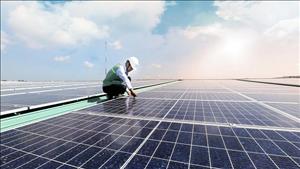 Giải pháp giám sát, dự báo công suất phát các nguồn điện mặt trời quy mô nhỏ