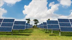 Chấp thuận chủ trương đầu tư dự án Nhà máy điện mặt trời Điện Biên 1