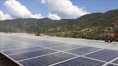 Khánh Hòa yêu cầu bảo vệ môi trường tại các dự án điện mặt trời