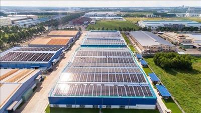 SK Group muốn rót 200 triệu USD làm điện mặt trời ở Việt Nam