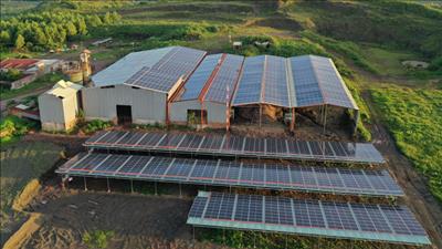 EVN làm việc với PC Đắk Lắk về phát triển điện mặt trời mái nhà