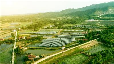Lâm Đồng rà soát quy hoạch phát triển nguồn điện từ năng lượng tái tạo