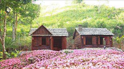 Du lịch xanh – hướng đi tất yếu để phát triển bền vững