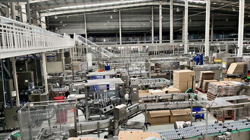 Kế hoạch của Chính phủ triển khai cơ chế, chính sách đặc biệt phát triển kinh tế tư nhân