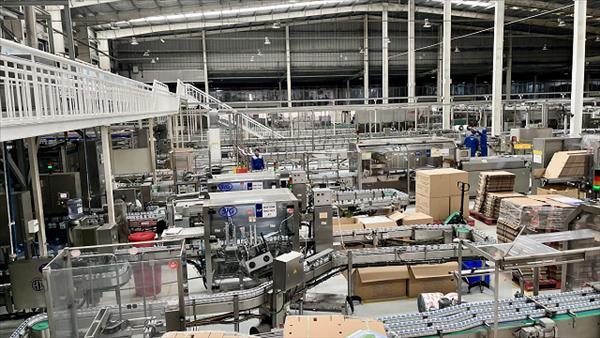Kế hoạch của Chính phủ triển khai cơ chế, chính sách đặc biệt phát triển kinh tế tư nhân
