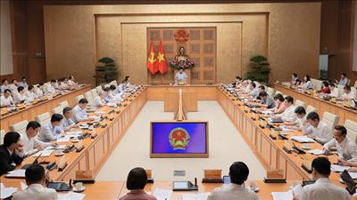 Nghiên cứu, đề xuất ban hành Nghị quyết của Bộ Chính trị về phát triển doanh nghiệp Nhà nước