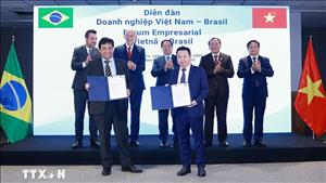 Đối tác chiến lược Việt Nam - Brazil: 