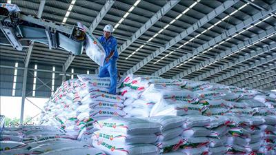 Thúc đẩy doanh nghiệp nhà nước sản xuất kinh doanh hiệu quả