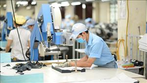 Hỗ trợ doanh nghiệp vươn ra thị trường quốc tế