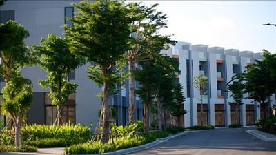 Phát triển đô thị xanh: Nền tảng cho quá trình đô thị hóa bền vững tại Việt Nam