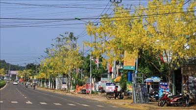 Vận hành Trung tâm Giám sát điều hành đô thị thông minh tỉnh Đắk Nông