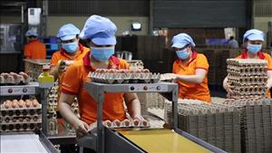 Chính phủ ban hành nghị định về đăng ký doanh nghiệp
